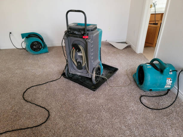 Carpet water damage restoration in Forest Meadows, CA