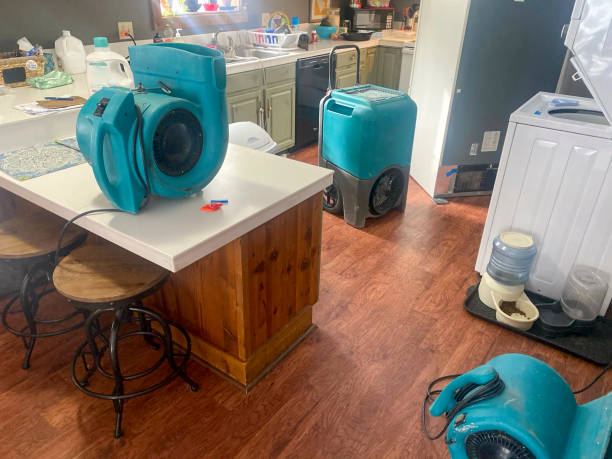Best Sewage cleanup and water damage restoration  in Forest Meadows, CA